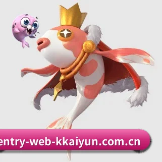 entry-web-kkaiyun.com.cn的方向