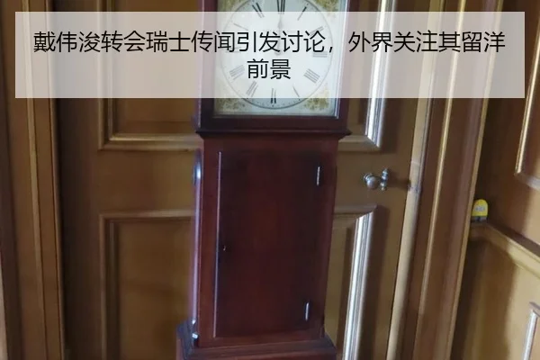 戴伟浚转会瑞士传闻引发讨论，外界关注其留洋前景